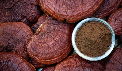 Reishi Mushrooms: The Ultimate Calm and Wellness Superfood functional mushroom