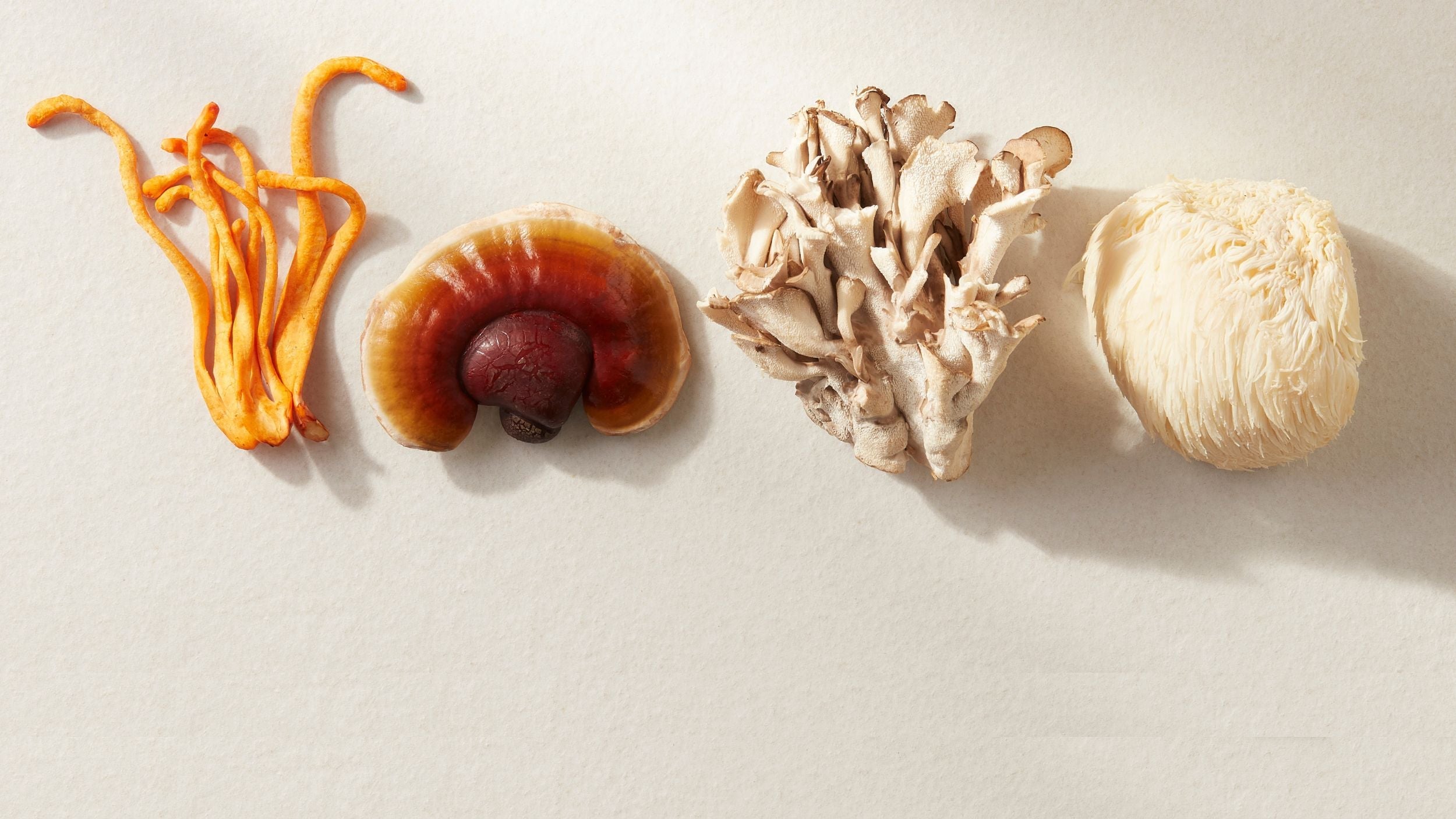 Meet the Ingredients: The Power Behind itmushbegood