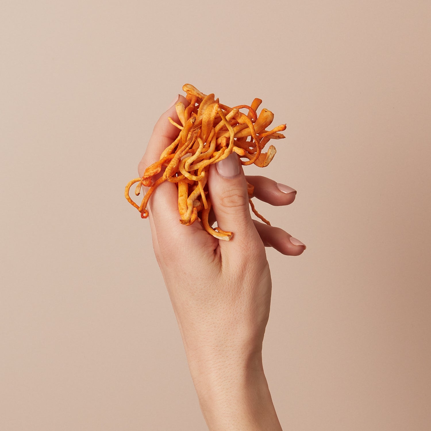 Cordyceps: The Energy-Boosting Mushroom You Need to Know
