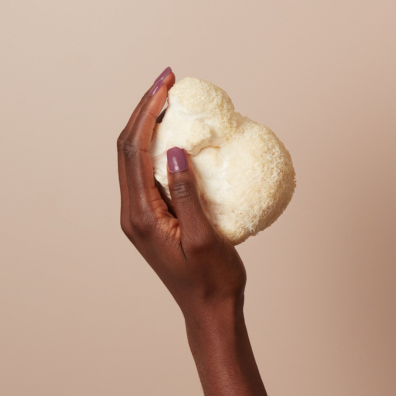 Lion's Mane Mushrooms: Your brain's best friend