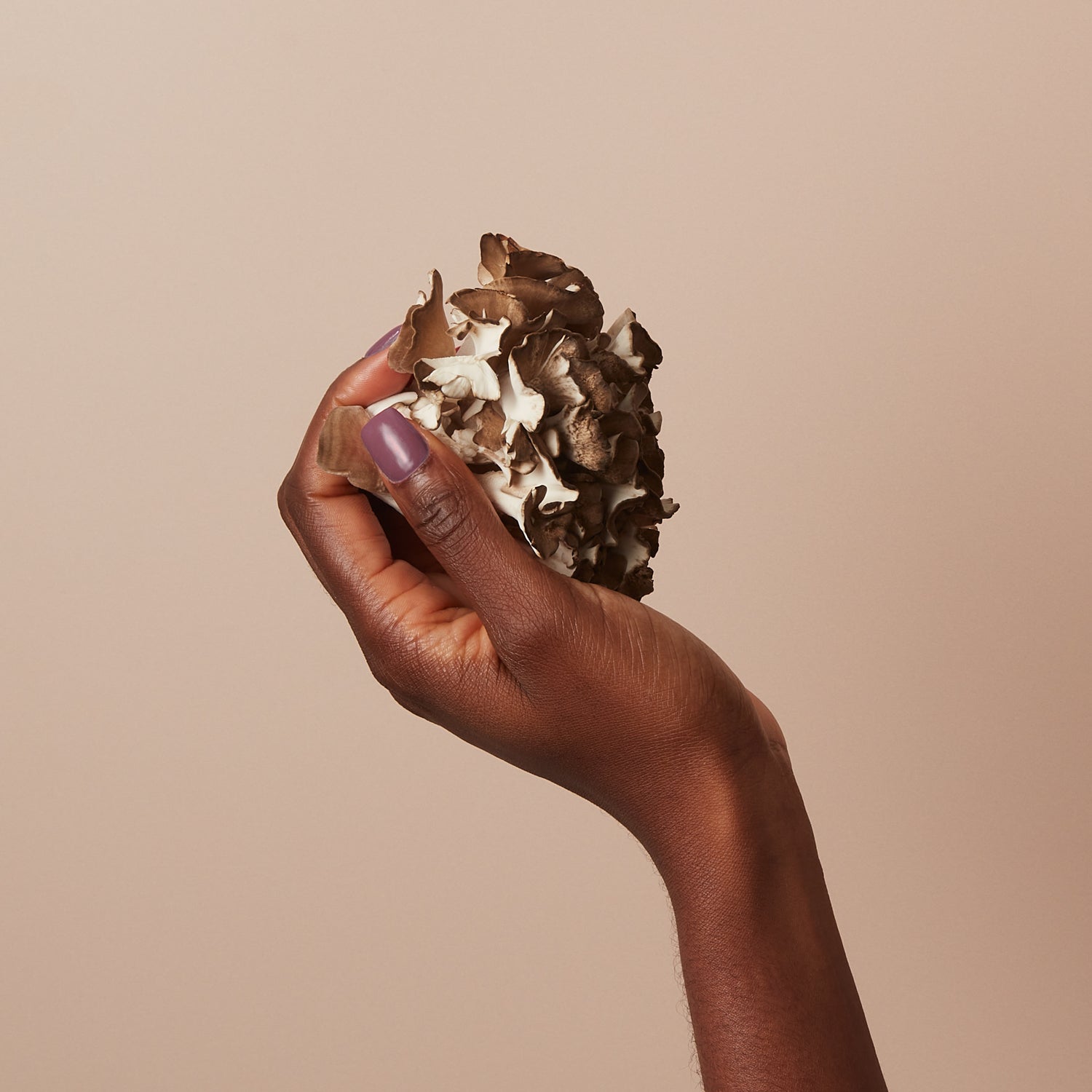 Organic Maitake: The Immune-Boosting Powerhouse