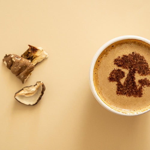 Organic Maitake: The Immune-Boosting Powerhouse functional mushroom