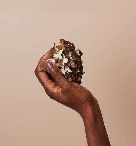 Maitake