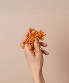 Cordyceps