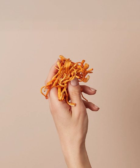Cordyceps