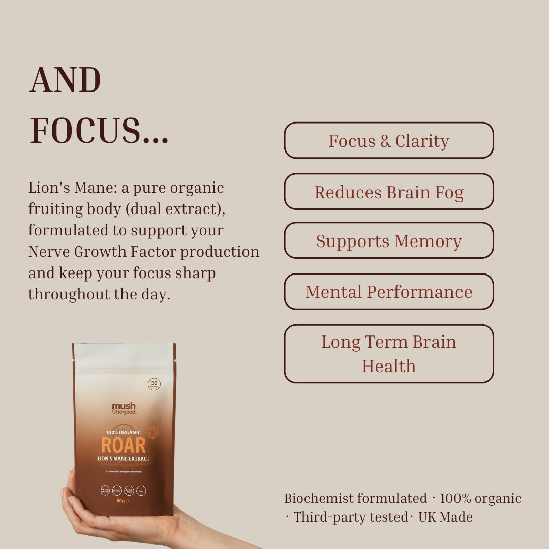 24 HOUR Stack: Roar + Unwind