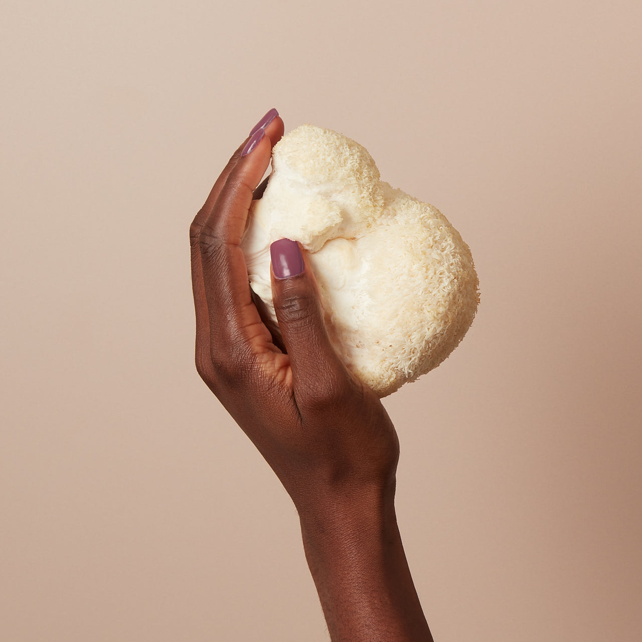 Roar - Organic Lions Mane Powder